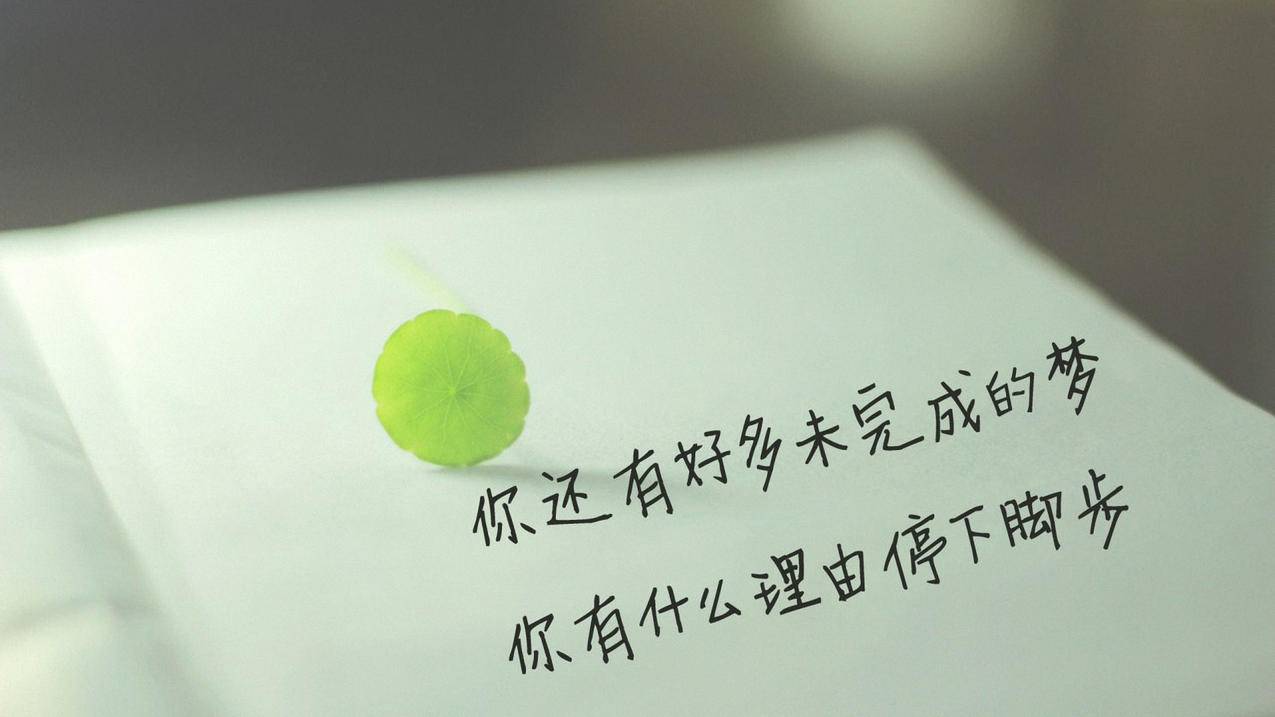 QQ业务最低价自助下单平台 - 最低价代网-快手人气在线